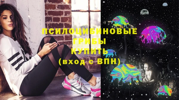 дурь Алексеевка
