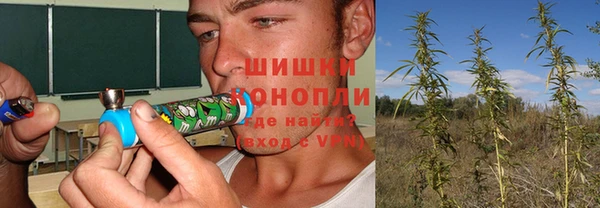 амф Алзамай