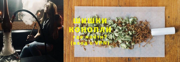 амф Алзамай